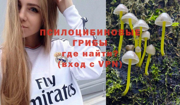 дмт Алексеевка