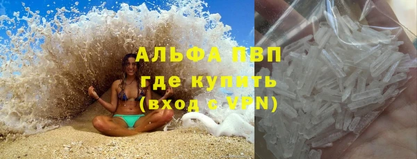 гашик Аркадак