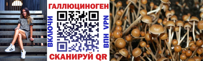 кракен маркетплейс Пустошка Псилоцибиновые грибы прущие грибы